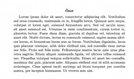 Abstract Çevirisi