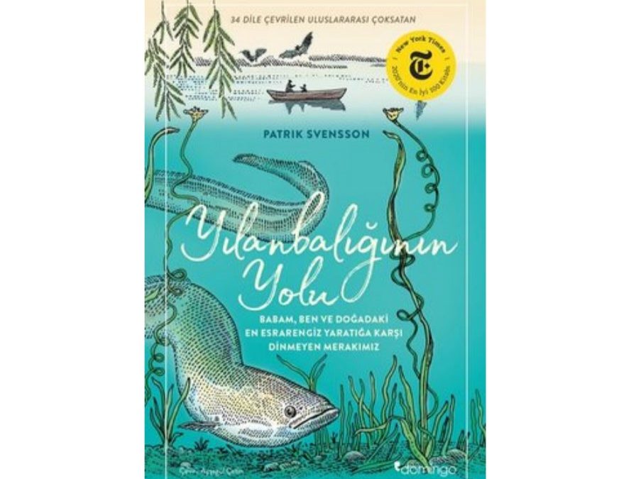Örnek Kitap Çevirisi, Yılanbalığının Yolu