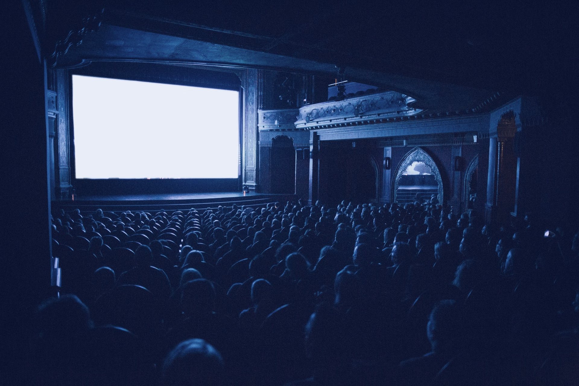 Mavi ışıkla aydınlanan sinema salonunda perdeyi izleyen seyirciler Mavi ışıkla aydınlanan sinema salonunda perdeyi izleyen seyirciler